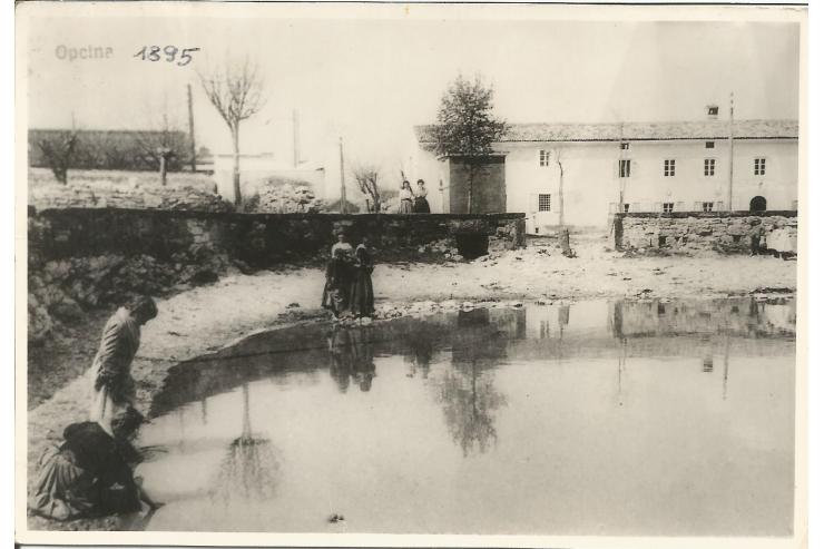 Škavenca