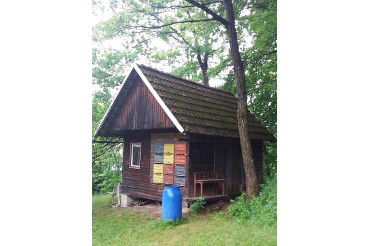 čebelnjak
