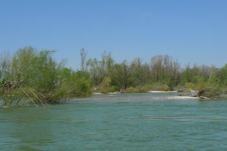 Reka Drava