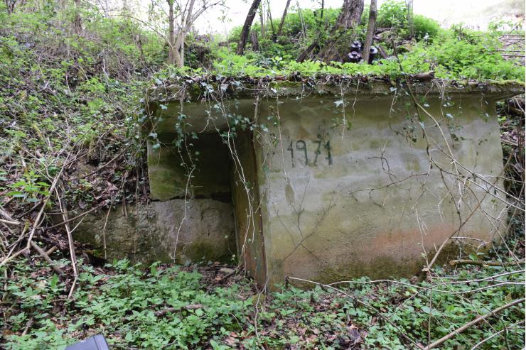 opuščeno vodno zajetje vasi Cesta