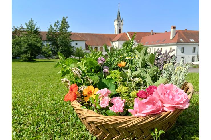 Samostan Mekinje in zelišča