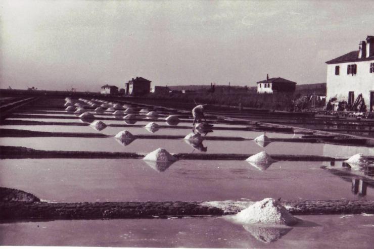 Foto: Josip Rošival, arhiv Pomorskega muzeja Piran