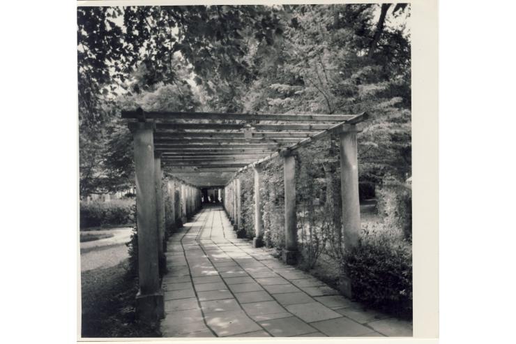 Pergola v parku