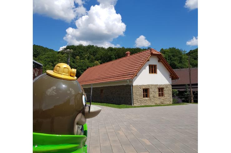 Lednarjeva usnjarna z geološkim muzejem