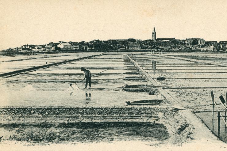 Starodavne obrti Kopra / Gli antichi mestieri di Capodistria