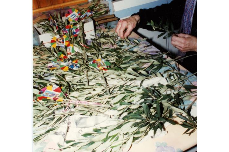 Priprava oljčnih vejic za cvetno (oljčno ) nedeljo 1994