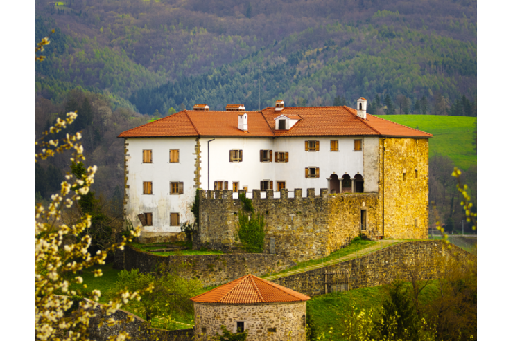 Grad Prem. Arhiv Občine Ilirska Bistrica (foto: Patrik Lovrin)