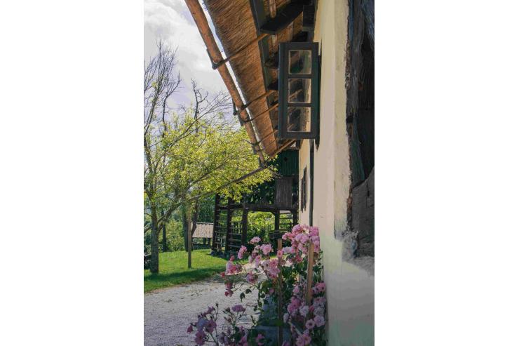 foto: Bor Peterlin Šimec