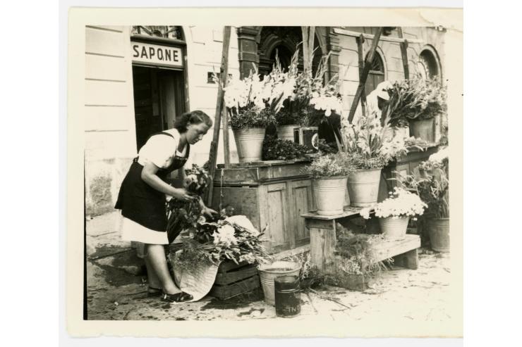 Rožnarca v Trstu na Rusem mostu, 1953
