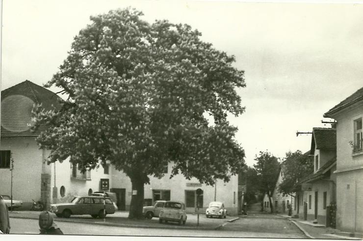 Velikolaški trg z današnjim Levstikovim domom, 80. leta, foto: Niko Samsa.