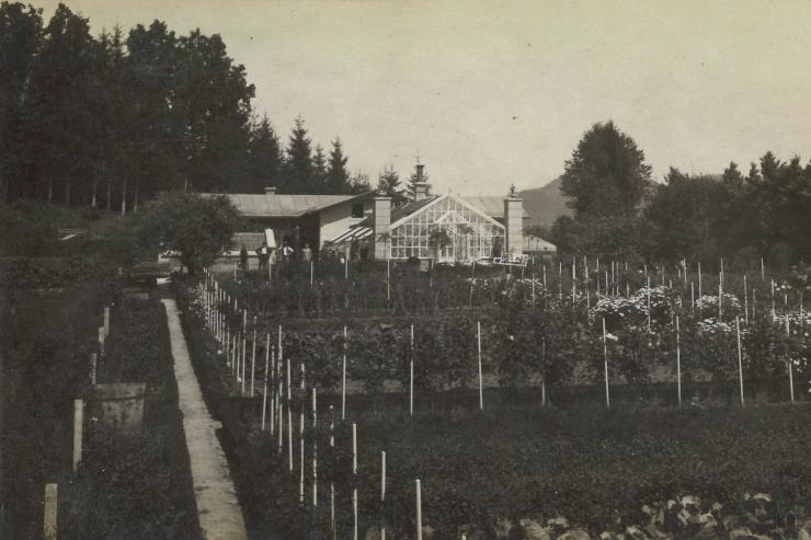 fotografija rastlinjaka in vrtnarjeve hiše iz okoli leta 1926, zbirka Alojza Kojca, hrani Vila Mayer v Šoštanju