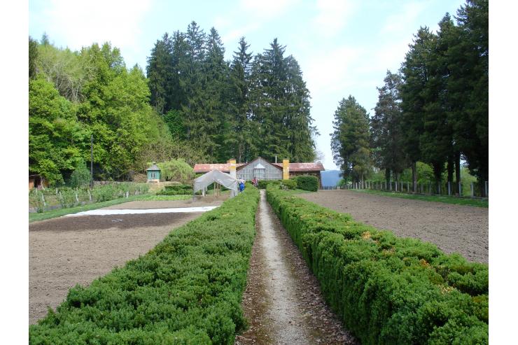stanje rastlinjaka in vrtnarjeve hiše leta 2007, ko je v dvorcu delovala dislocirana enota Psihiatrične bolnišnice Vojnik, vir: dokumentacija ZVKDS, OE Celje