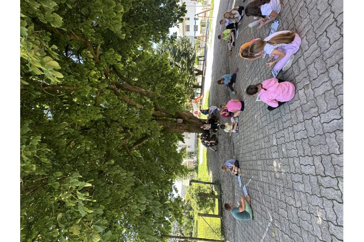 Učenje pod kostanjem