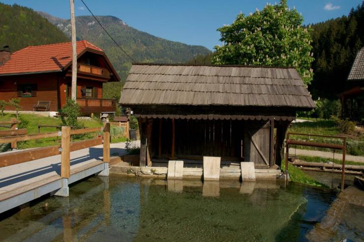 Vaško perišče