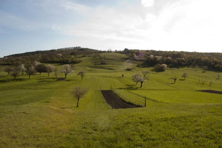 Pogled na polja v okolici Velikega Polja