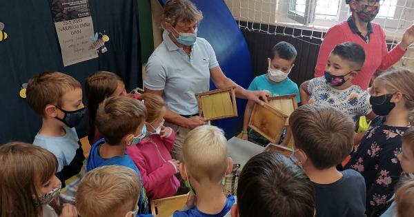 Spoznaj čebelo - varuj in ohrani življenje Spoznaj čebelo - varuj in ohrani življenje