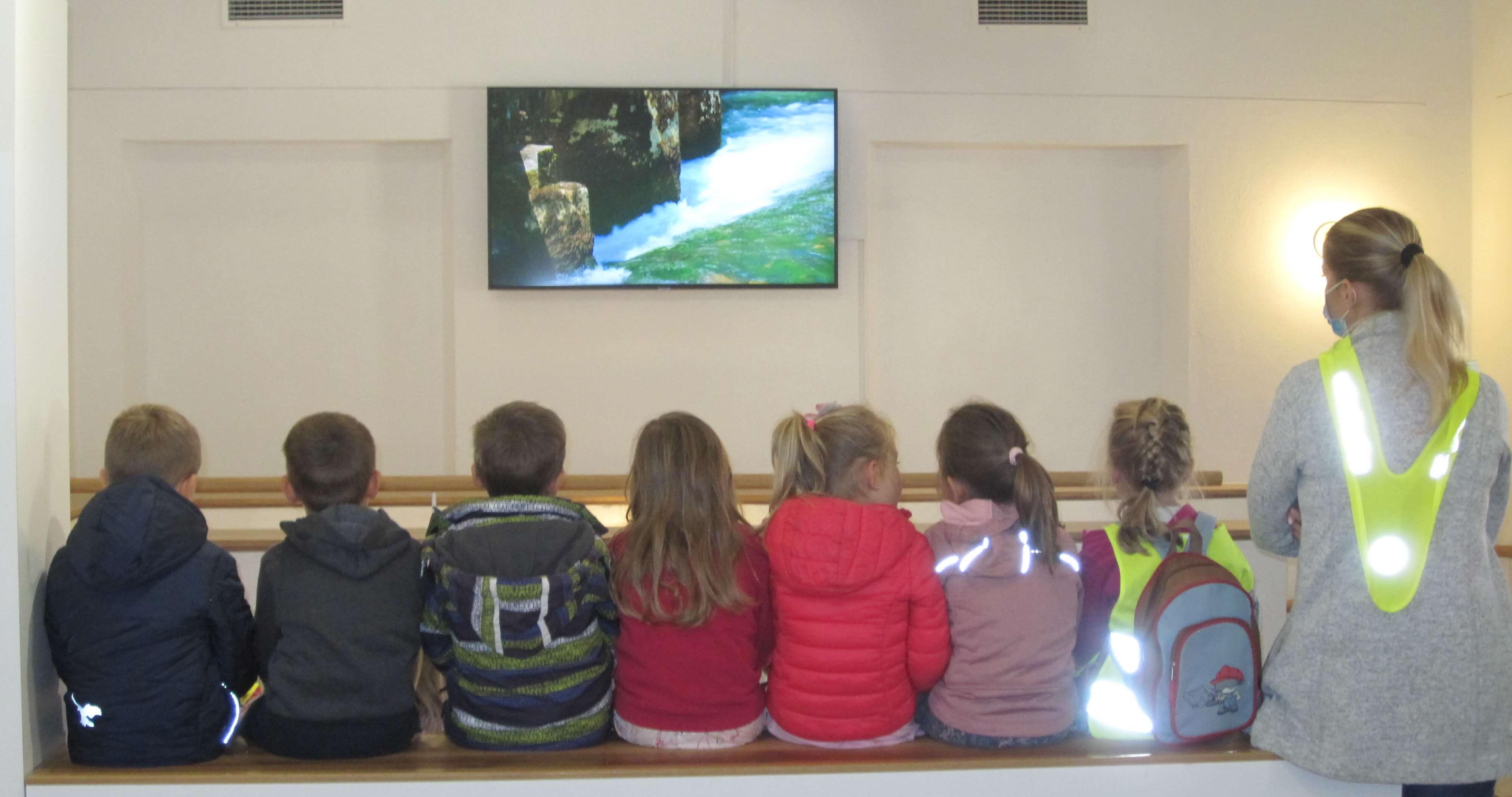 Dediščina v rokah najmlajših: Reka Krupa