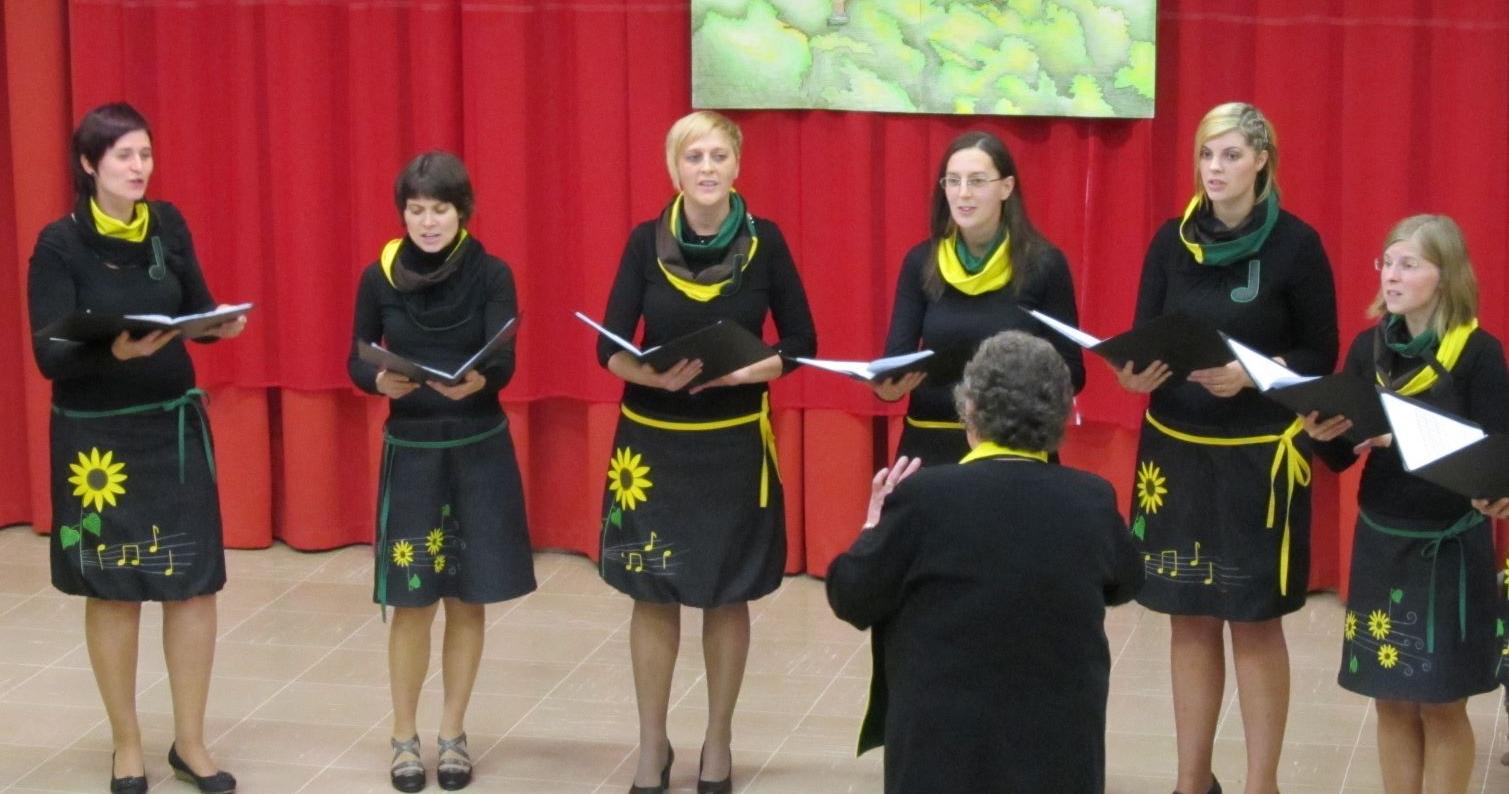 Druženje pod kozolcem Druženje pod kozolcem