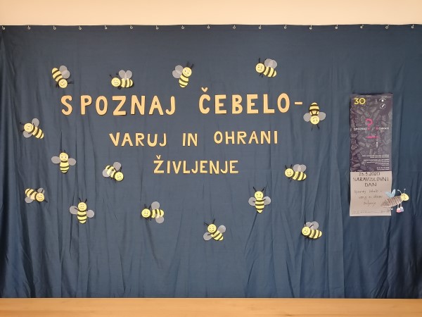 Spoznaj čebelo - varuj in ohrani življenje